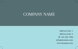 Basic-Business-card-991_90x55