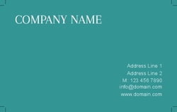 Basic-Business-card-997_90x55