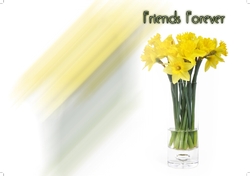 friendship-day-04-GC210x148P